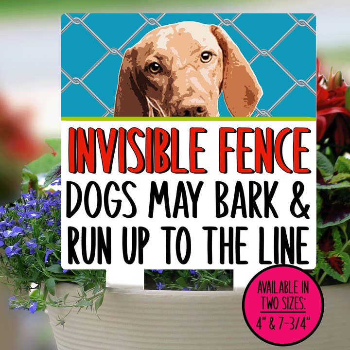 Panneau de clôture invisible Vizsla Dog pour la vente par Swanky Bazaar