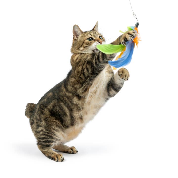 Huxley & Kent – wholesale Pet toy – Cat – Teaser Sour Scratch Wand Cat Toy4