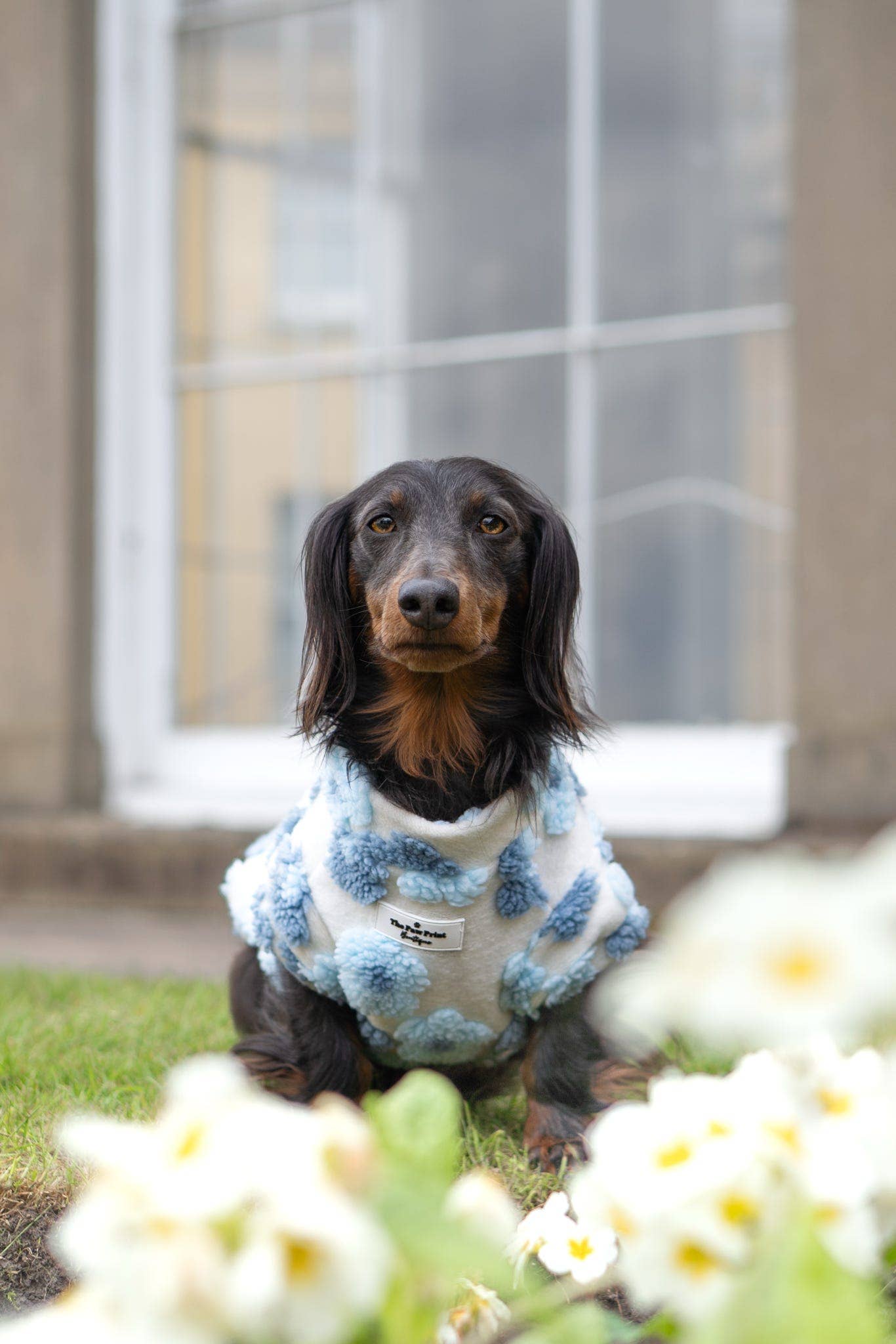 The Paw Print Boutique - Wholesale Pet jumper – Dog - The Bluebell Blue Floral Fleece9