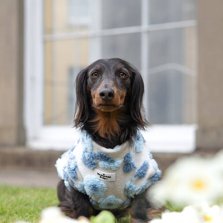 The Paw Print Boutique - Wholesale Pet jumper – Dog - The Bluebell Blue Floral Fleece9