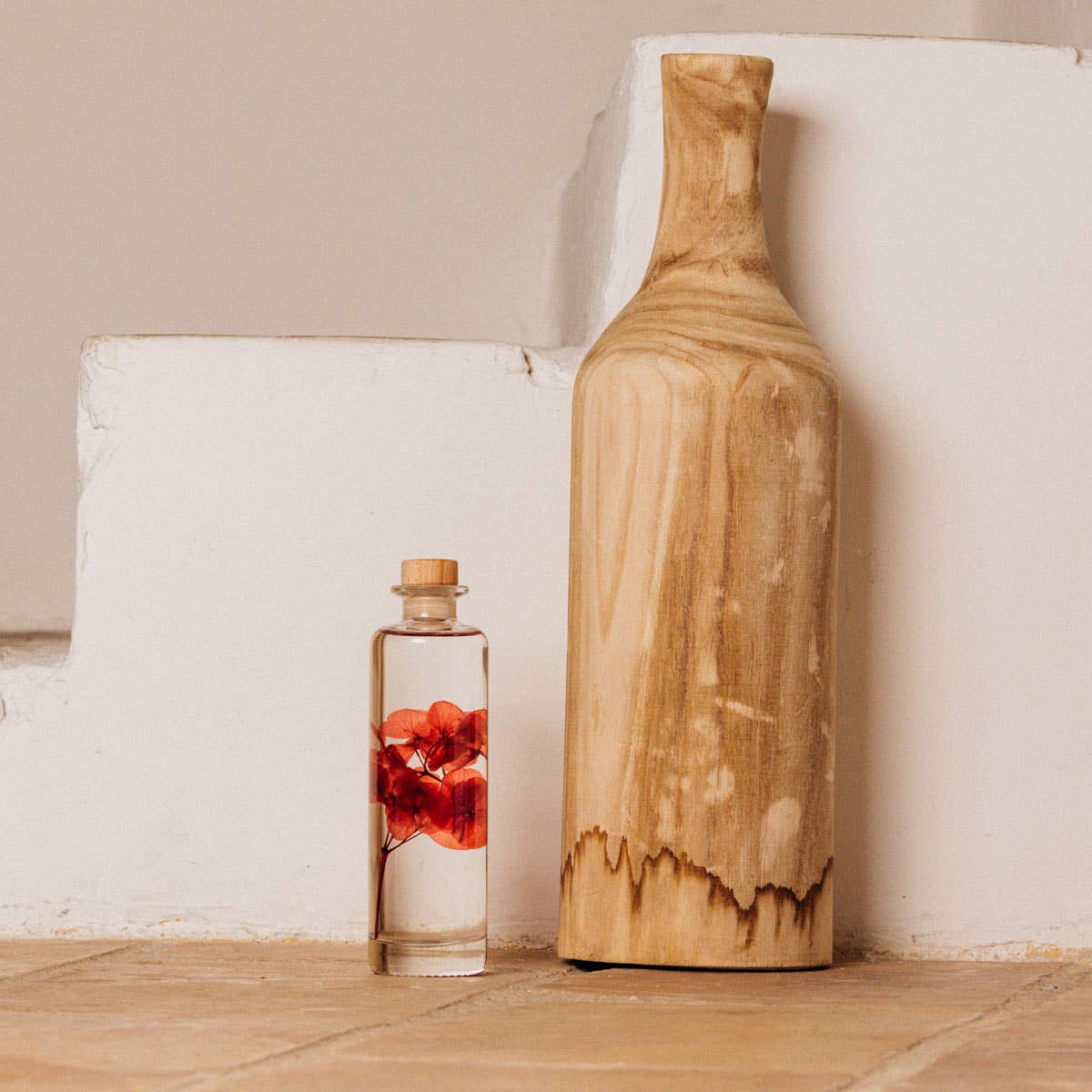 Theophile Berthon - Vente Plante - L'Herbarium Hortensia rouge Passion éternel10