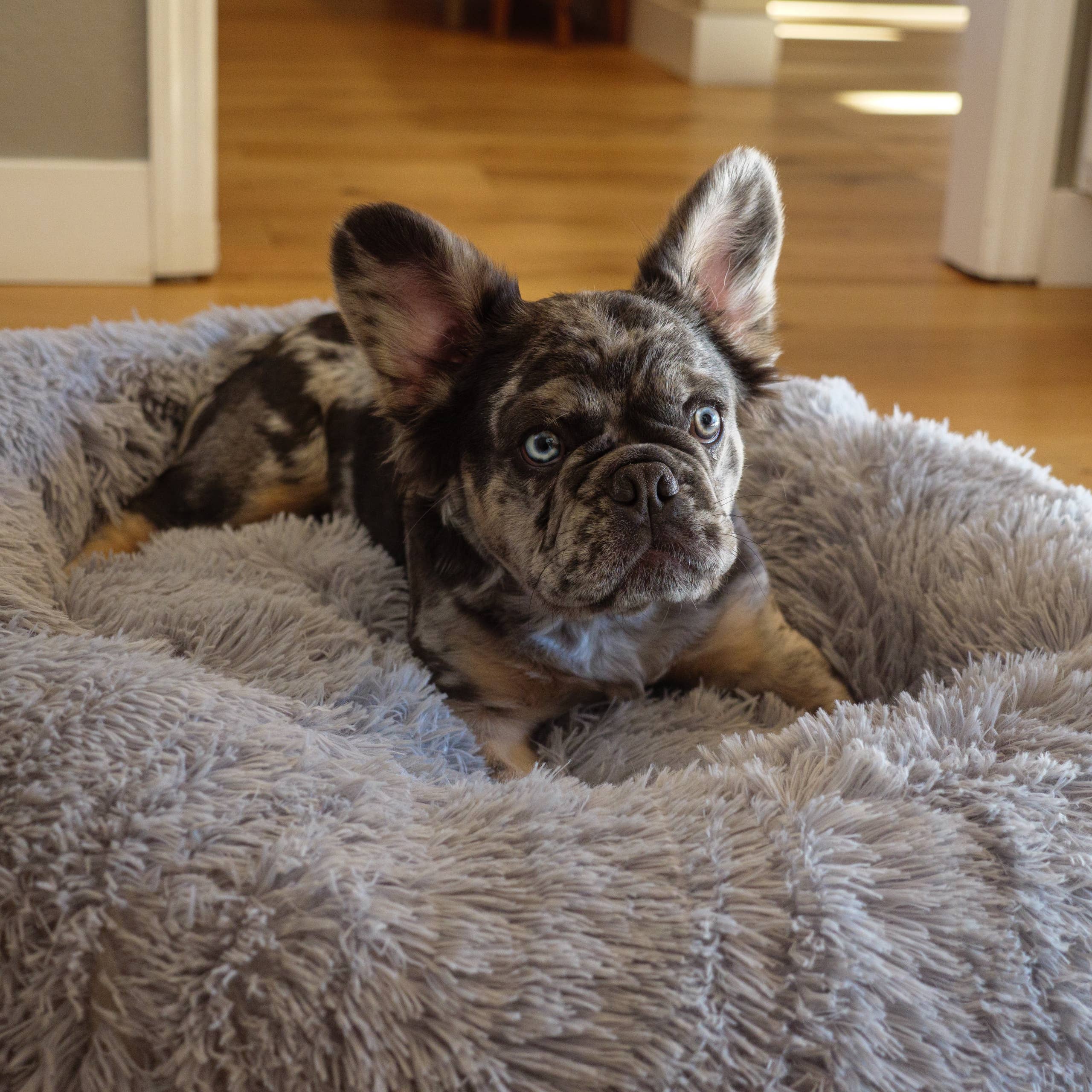 KAF Home - Vente Lit – chat et chien - Lit pour chien et chat KAF Home Calming Donut - Shag Fur6