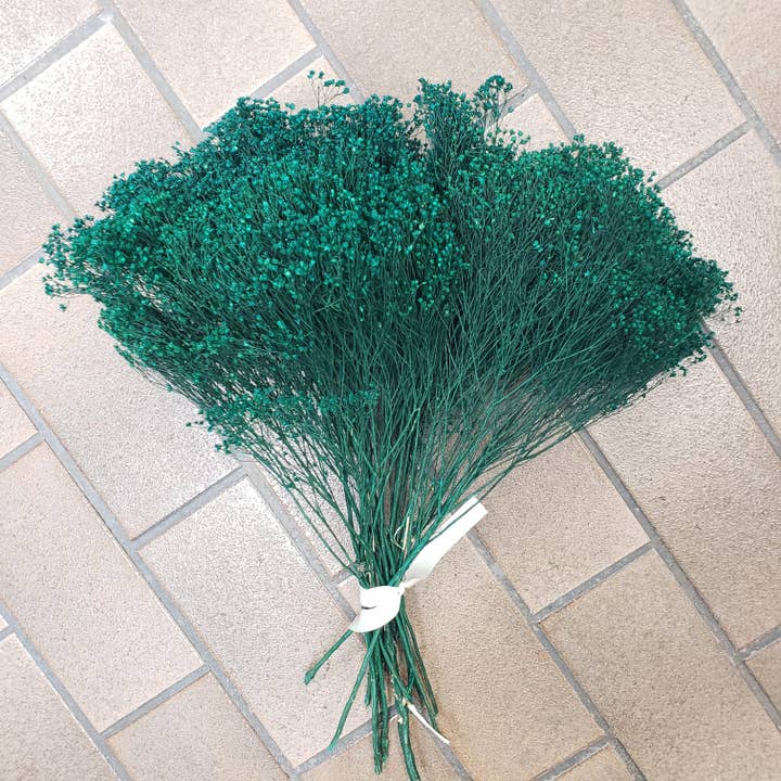 Dried Broom Bloom Flower - 4oz Emerald Green for wholesale by BLOOMINGFUL.COM