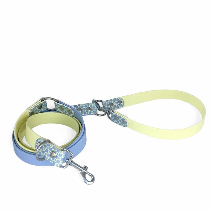 Splash By Happy - Wholesale Pet Collar - Dog - 🌼 Happy Flower 🌼20