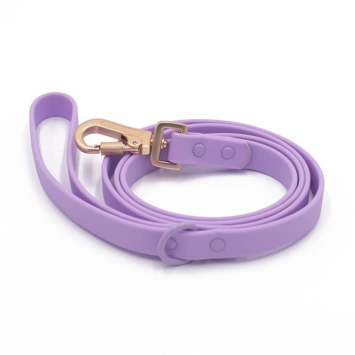 Laisse imperméable avec fermoir verrouillable doré pour la vente par Ollie XO