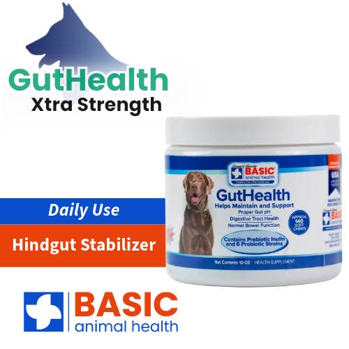 GutHealth Xtra Strength for Dogs - 10 oz. for wholesale by Basic Animal Health