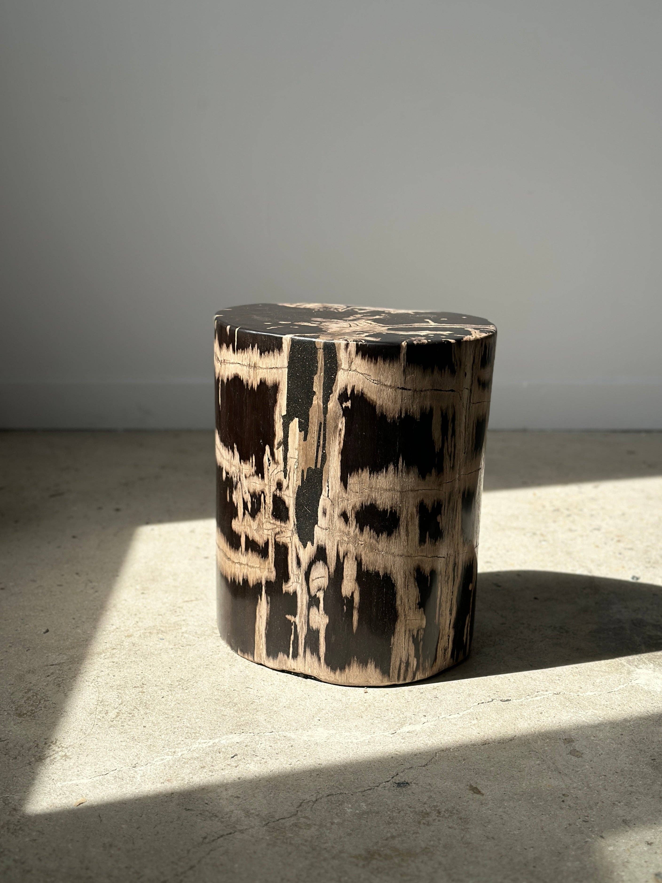 Office Objets - Vente Tables d'appoint - Table d'appoint en bois pétrifié29