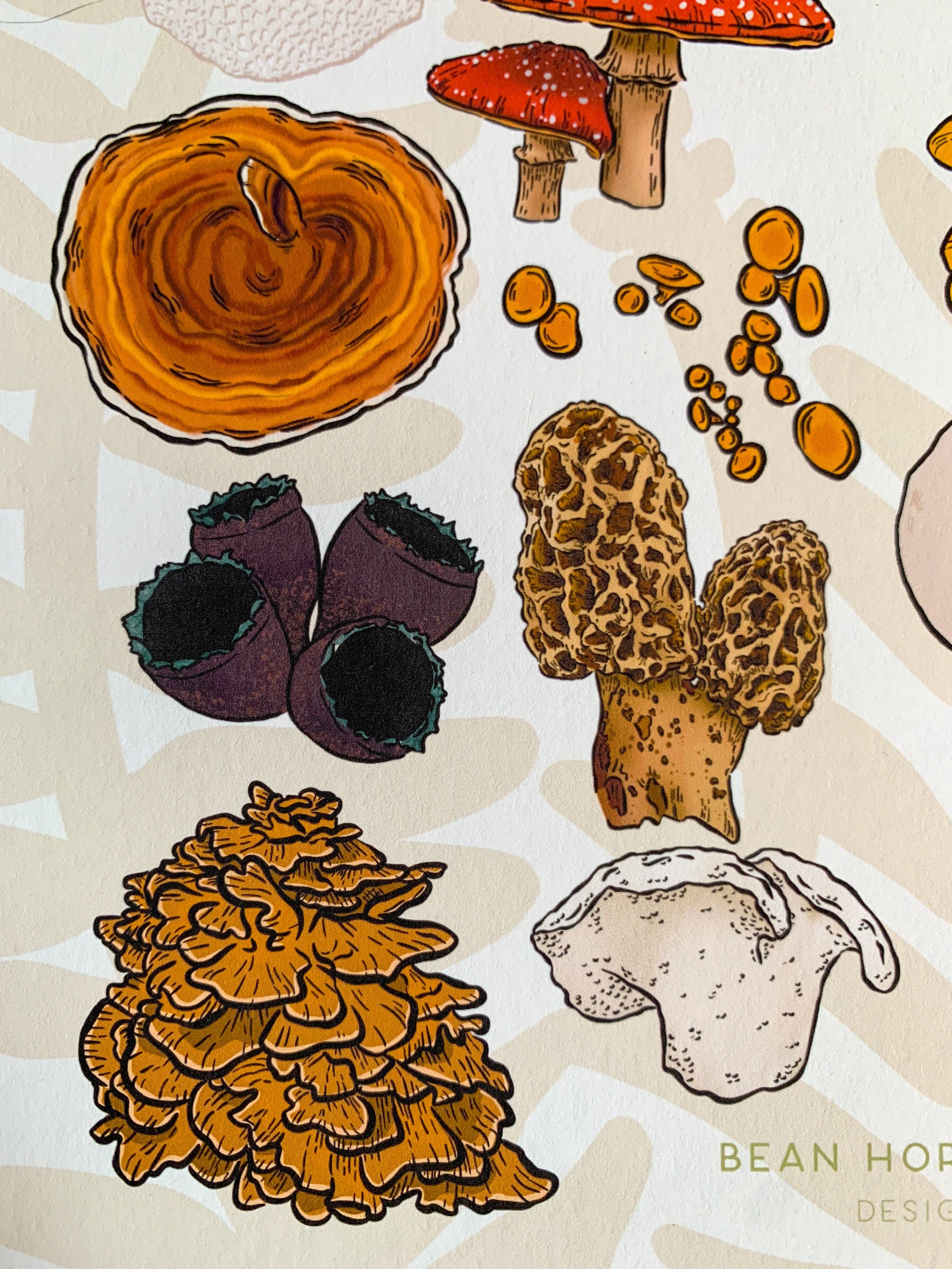 Bean Horse Car Designs - Wholesale Art Print - A to Z Mushrooms Art Print4
