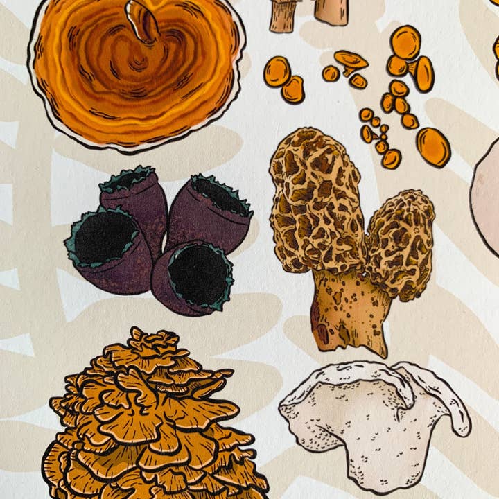 Bean Horse Car Designs - Wholesale Art Print - A to Z Mushrooms Art Print4