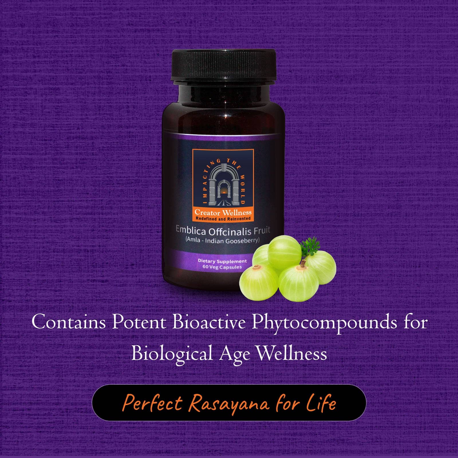 Creator Wellness - Wholesale Oral Supplement/Vitamin - Amla Supplement | 225mg Indian Gooseberry Extract | 60 Caps2