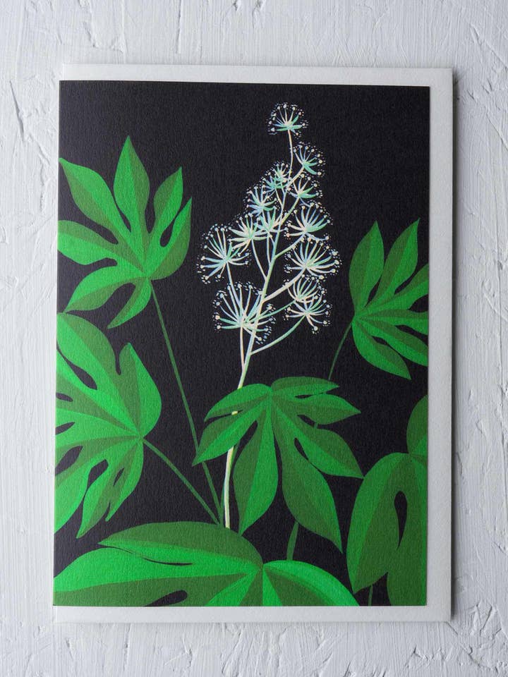 Fatsia Greeting Card for wholesale by Stengun Drawings