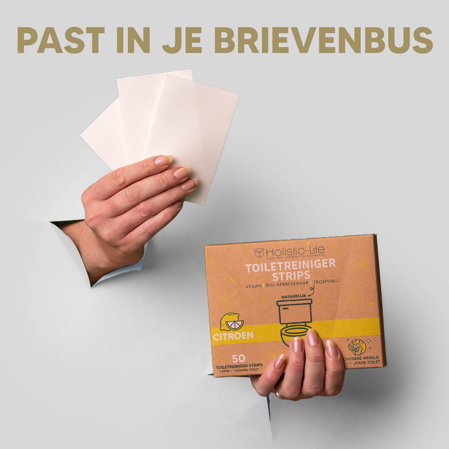 holistic-life - Wholesale Wc-papier - Milieuvriendelijke Toiletreiniger Strips - 50 Vellen8