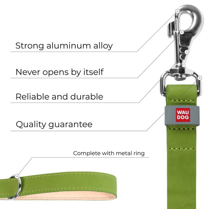 WAUDOG - Vente Laisse – chien - Laisse en cuir classique avec clip en métal7