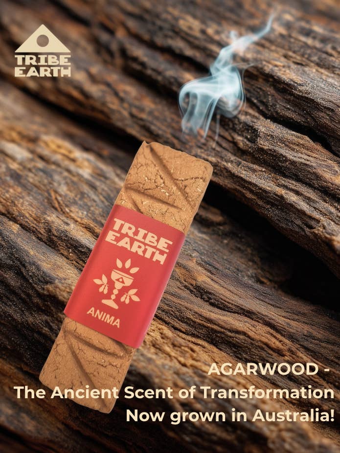 Anima 100% reines australisches Adlerholz-Räucherbrett für den Großhandel von Tribe Earth Incense
