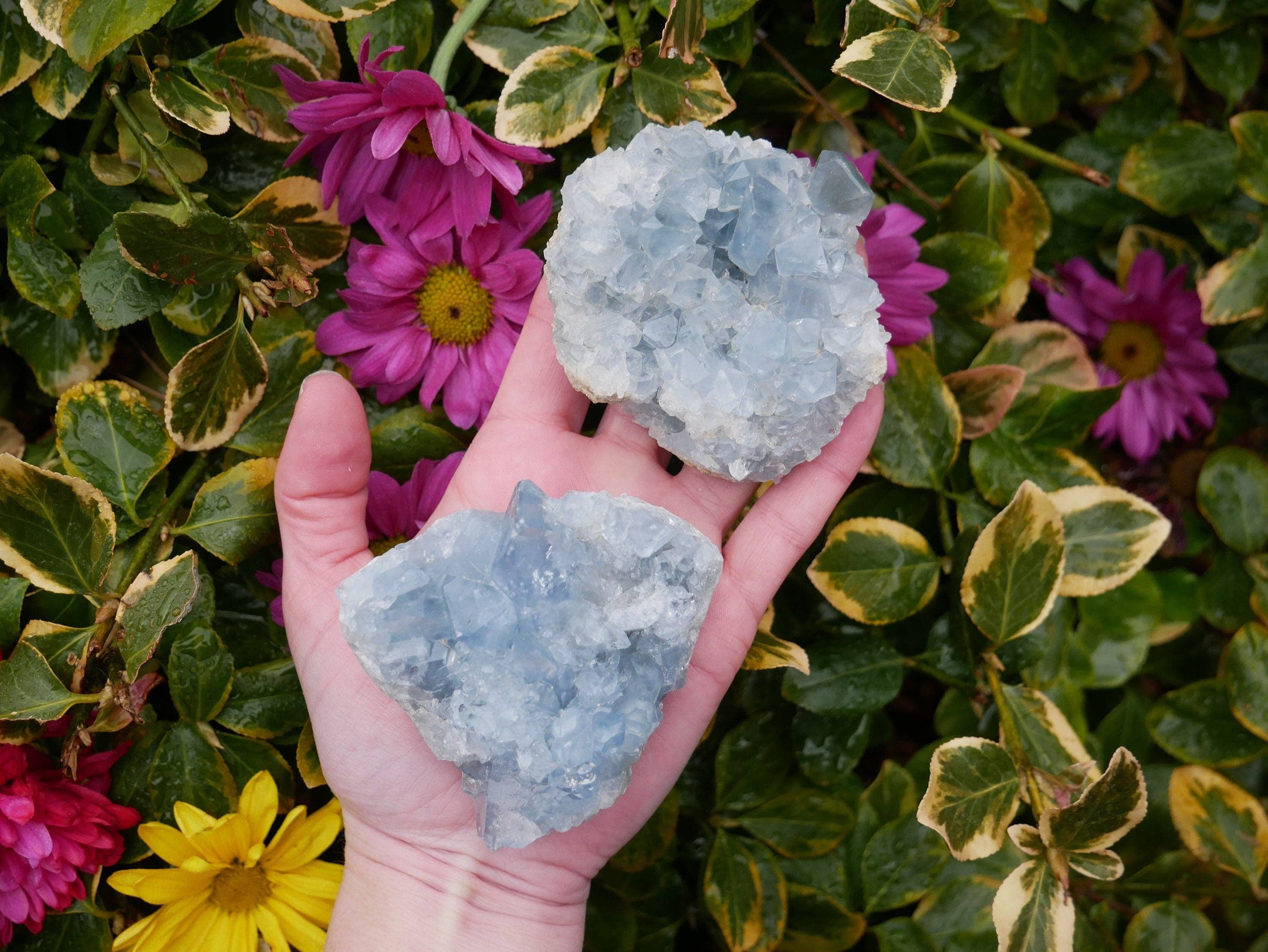 The Healing Sanctuary - Wholesale Spiritual Stone/Crystal - Celestite Druzy Clusters - 6 piece flat