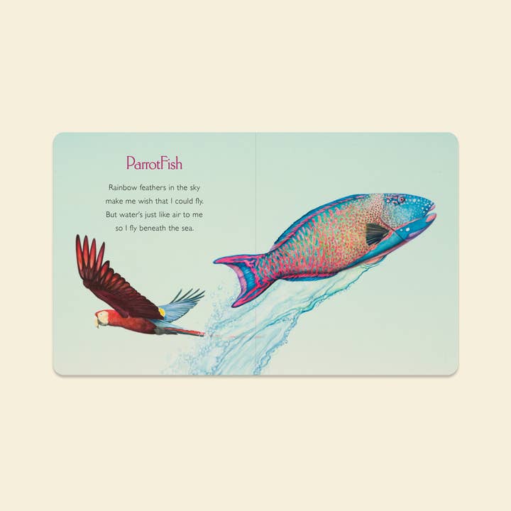 Paige Tate & Co. - Vendita all'ingrosso Libro per neonati e bambini (0-2) - Hai Rubato il Mio Nome: Un Libro Cartonato per Bambini sulla Taglia delle Calze2