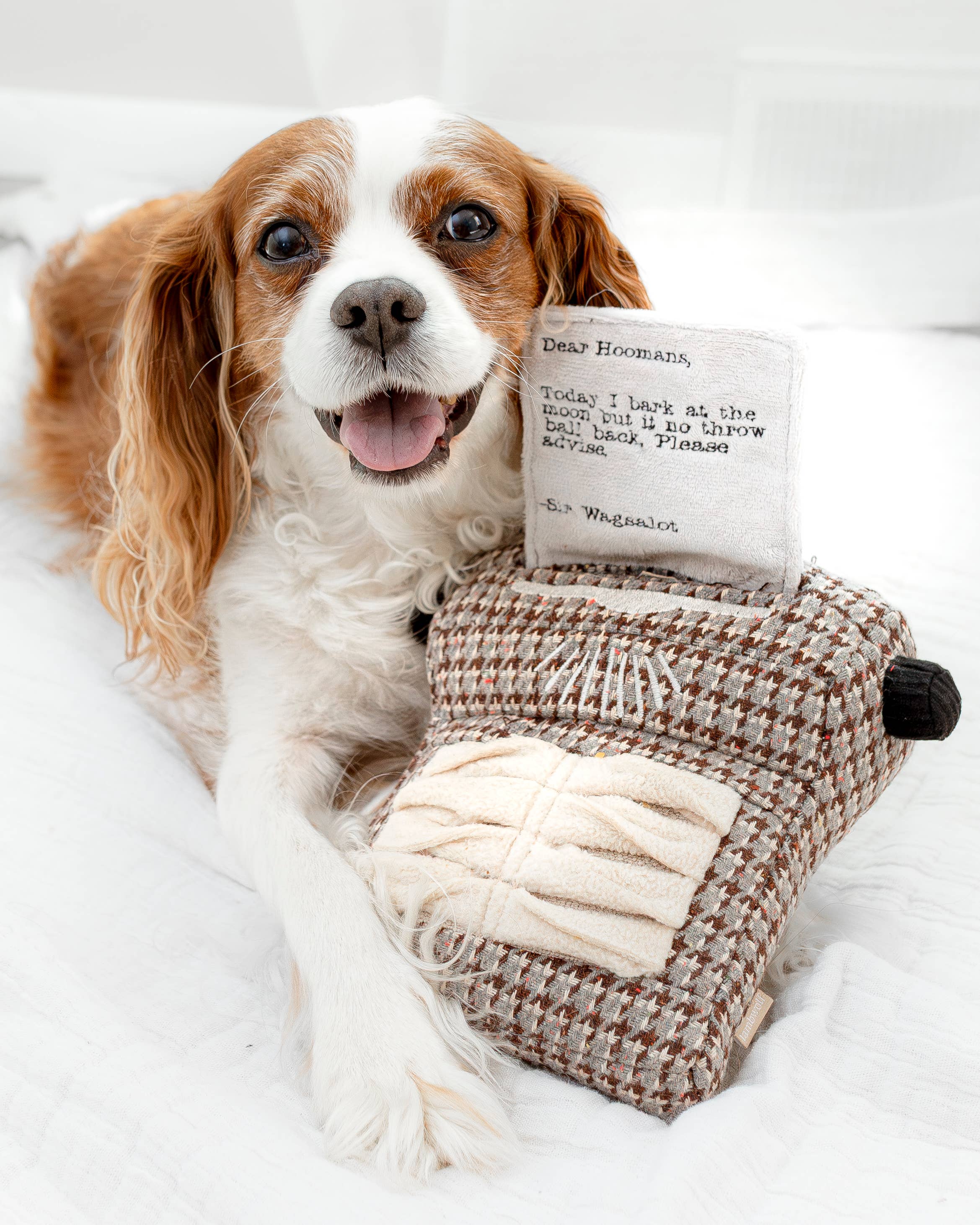 Lambwolf Collective - Wholesale Pet Toy - Dog - TYPEWRITER//ENRICHMENT DOG TOY 3