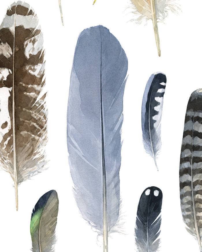 Studio Tuesday - Wholesale Art Print - Feather Watercolor Print2