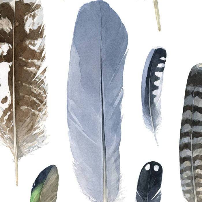 Studio Tuesday - Wholesale Art Print - Feather Watercolor Print2