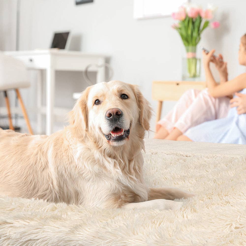 PetAmi – wholesale Filt - Katt och hund – Vattentät fuskpäls Pet Filt47