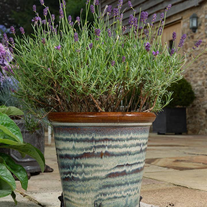 Jardinopia UK - Venta al por mayor Macetas - Juego de 3 patas pequeñas para maceta de liebre sentada, color bronce