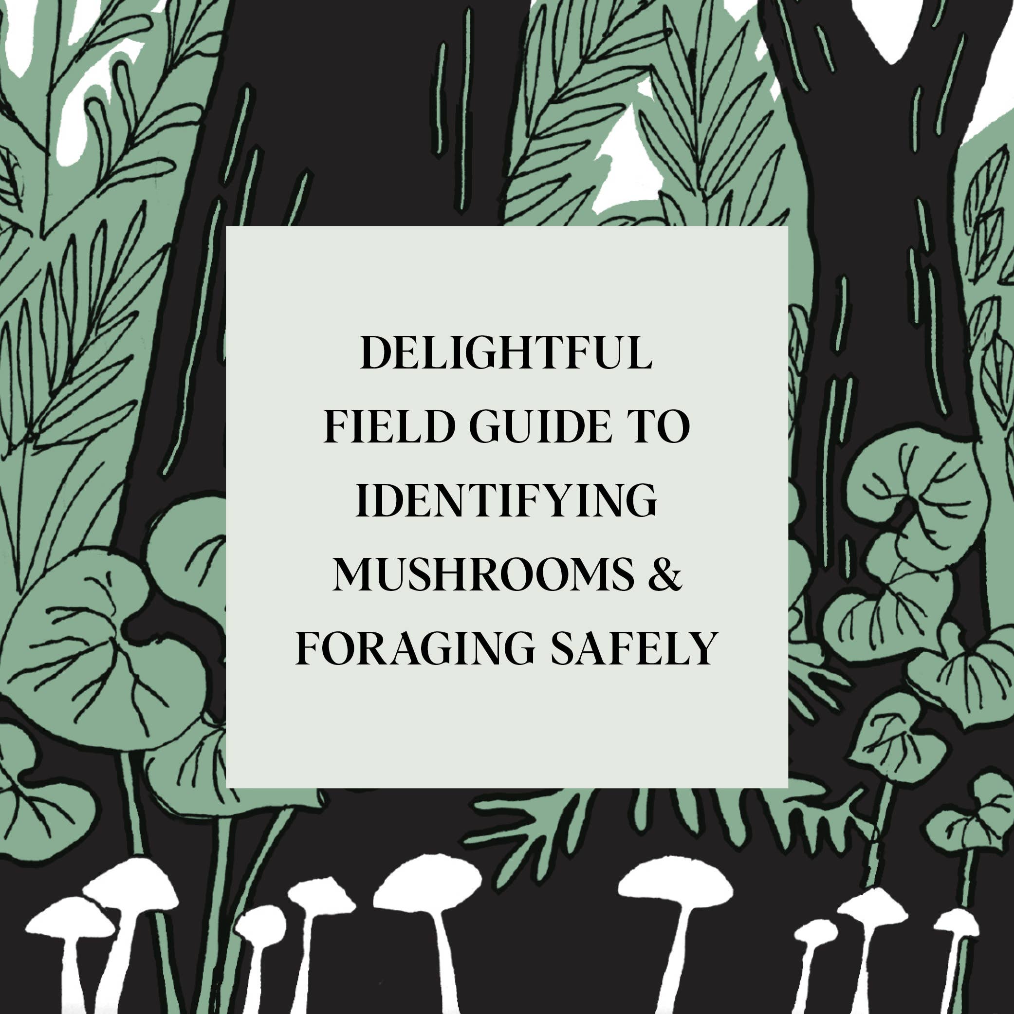 Chronicle Books - Wholesale Nature & Outdoors - Pocket Nature: Mushroom Hunting1