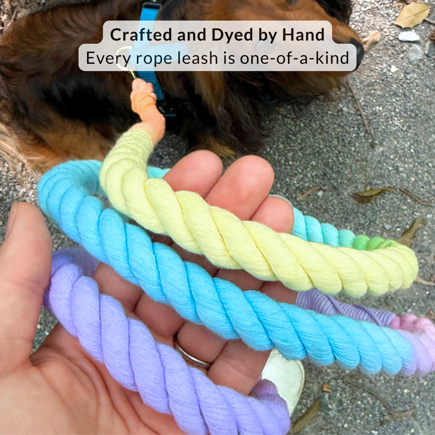 DJANGO - Wholesale Pet Leash - Dog - Cotton Rope Dog Leash - Sunrise Ombré4