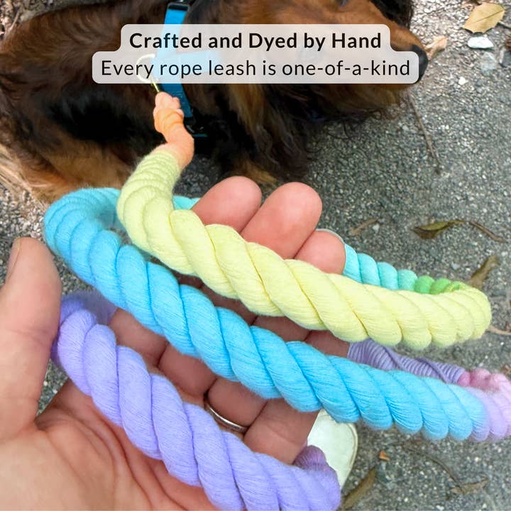 DJANGO - Wholesale Pet Leash - Dog - Cotton Rope Dog Leash - Sunrise Ombré4