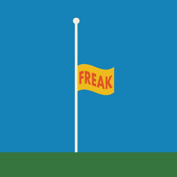 Recovering Lazyholic - Wholesale Art Print - Freak Flag Print2