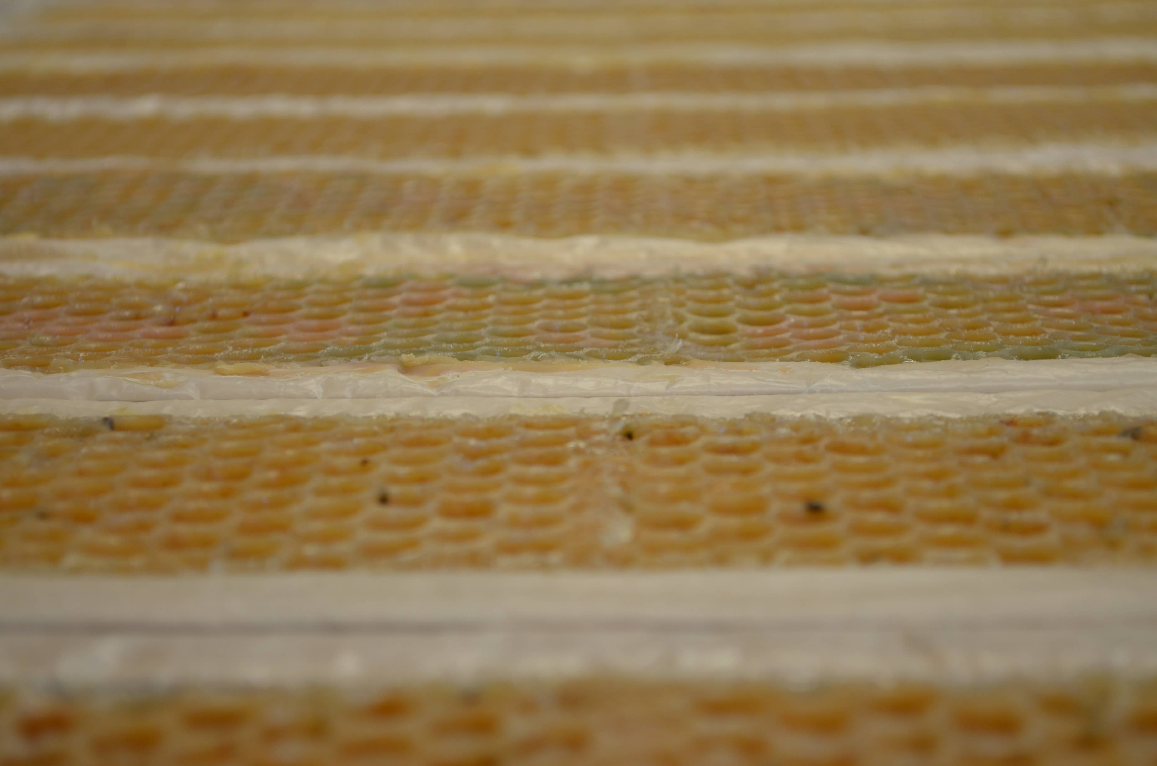 Bees-to-Bubbles Handcrafted Soaps – wholesale Tvål – Mjölk- och honungstvål med havre1