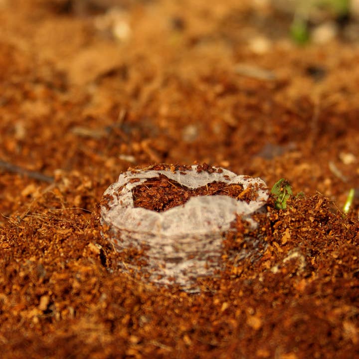 CoirProducts.co.uk of Salike Limited - Wholesale Plant seeds - 32 mm Coir Coins | Coir Pellets For Germination Seeds6