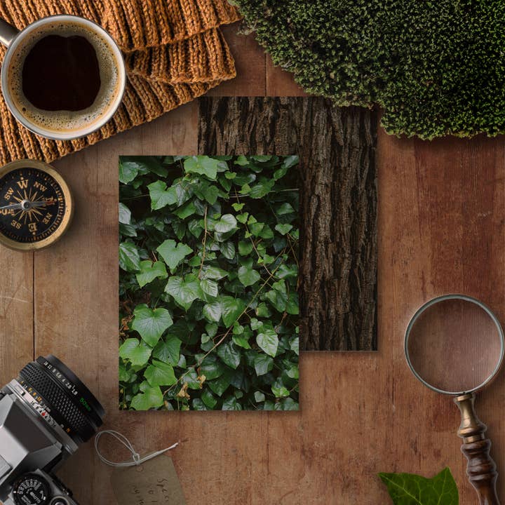 Forest Texture Illustrated Deco Papers for wholesale by Tied Fates