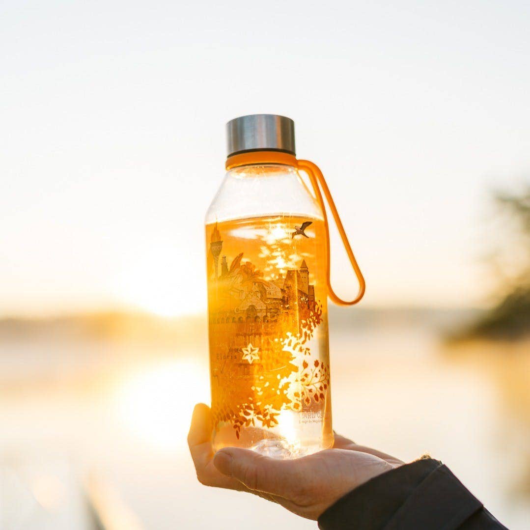 Carl Oscar - Vente Bouteilles d'eau - Bouteille d'eau WisdomFlask 0,65 L - Fire2