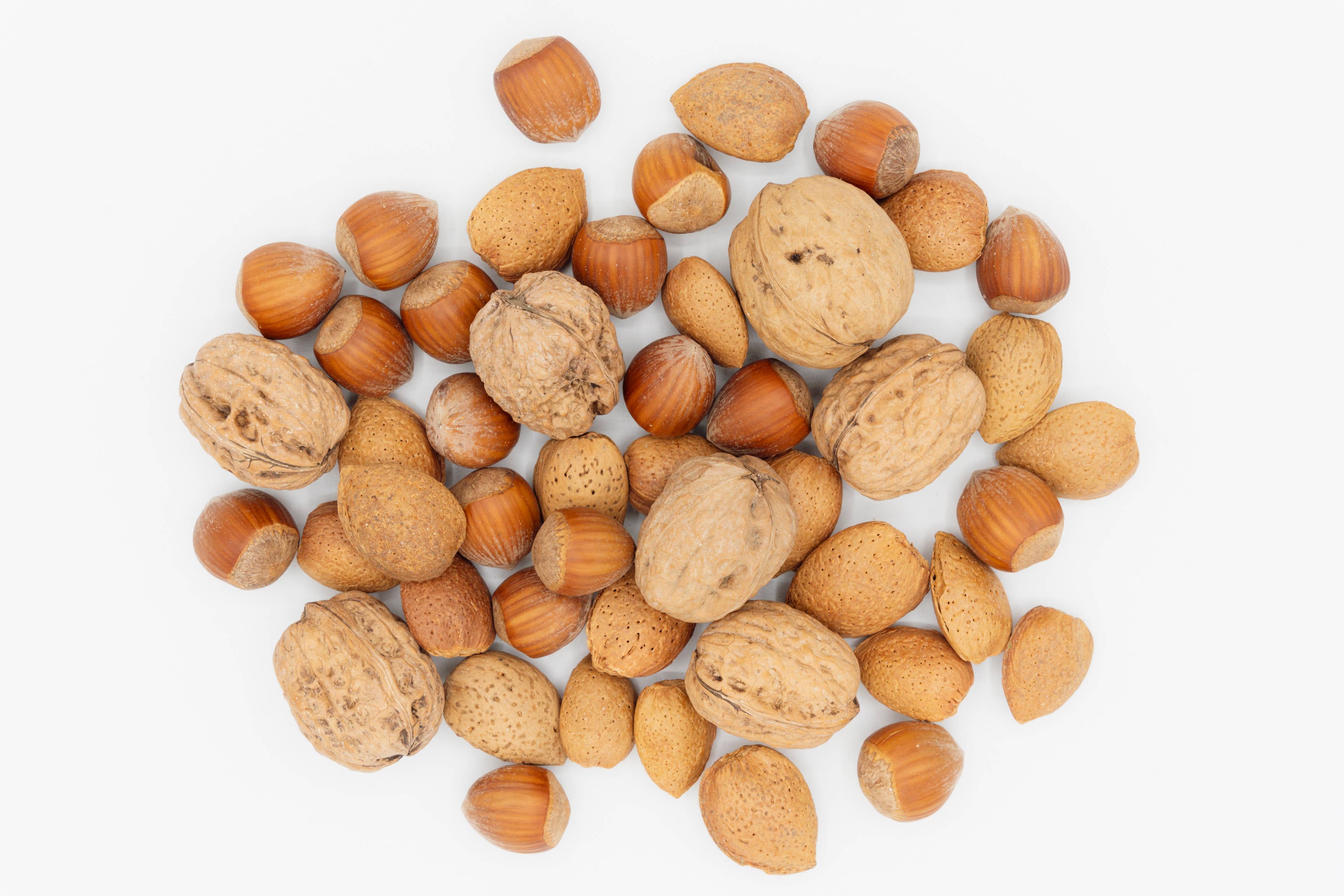 Agnellini Int Srl - Wholesale Dried/Dehydrated Fruit - Premium dried fruit in shell mix 1 Kg2