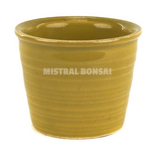 Round Planter 8.5x8.5x7cm Mustard for wholesale by MISTRAL BONSAI