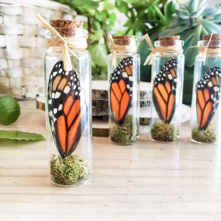 Monarch - Bottled Wing for wholesale by Anise Designs