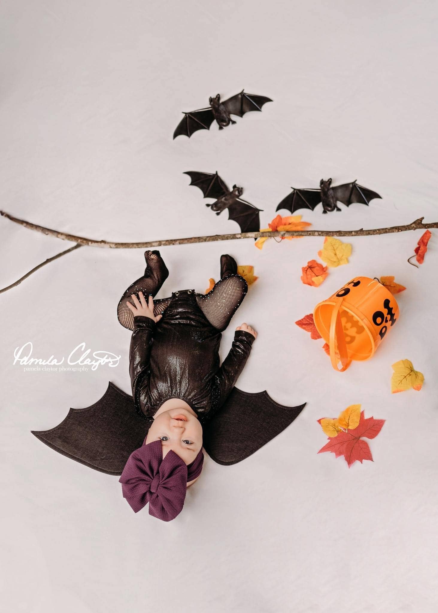 Bailey's Blossoms - Wholesale Costume - Kids - Bat Wings1
