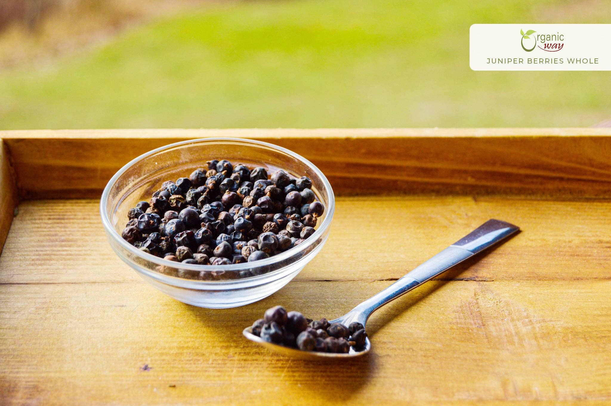 Organic Way LLC - Vendita all'ingrosso Erbe aromatiche - Bacche di Ginepro Intere (Juniperus communis) - Raccolta Selvatica Europea | Certificato Kosher | Crudo, Vegano, Non OGM e Senza Glutine | Certificato USDA | Origine - Albania1