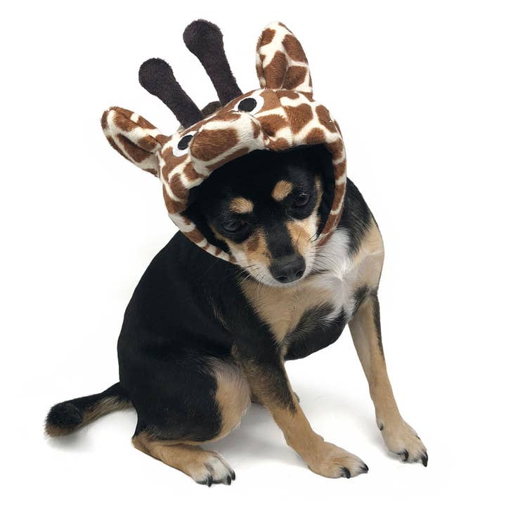 Giraffe Hat for wholesale by Dogo Pet