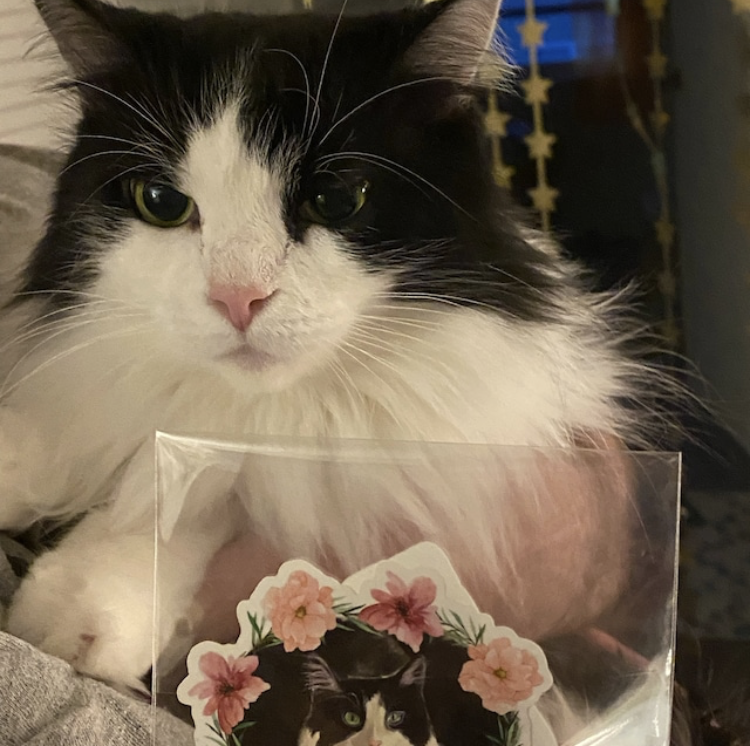 Liffey Pop Designs – Großhandel Aufkleber – Aufkleber für Smoking-Katzen, Smoking-Katzen und Blumen4