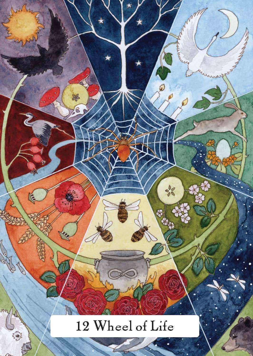 Cardshouse - Wholesale Tarot Cards - The Witches Wisdom Tarot Cards Hay House (Standard Edition)6