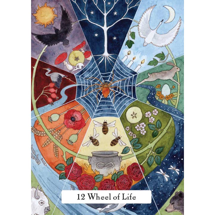 Cardshouse - Wholesale Tarot Cards - The Witches Wisdom Tarot Cards Hay House (Standard Edition)6