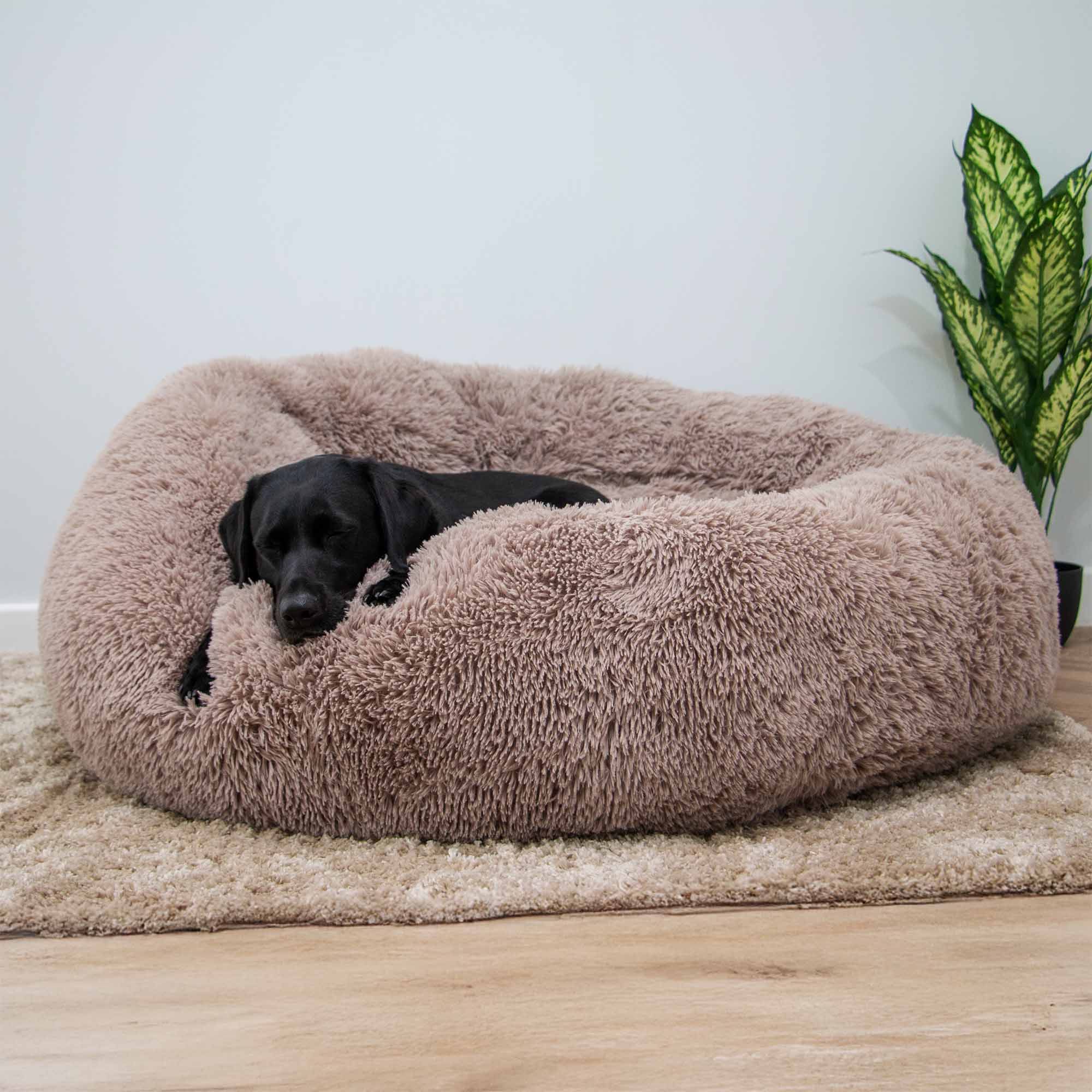 Ancol Pet Products Ltd – wholesale Husdjursbädd – Hund – Jätte Super Plysch Donut Hundbädd 130 cm Havregryn1