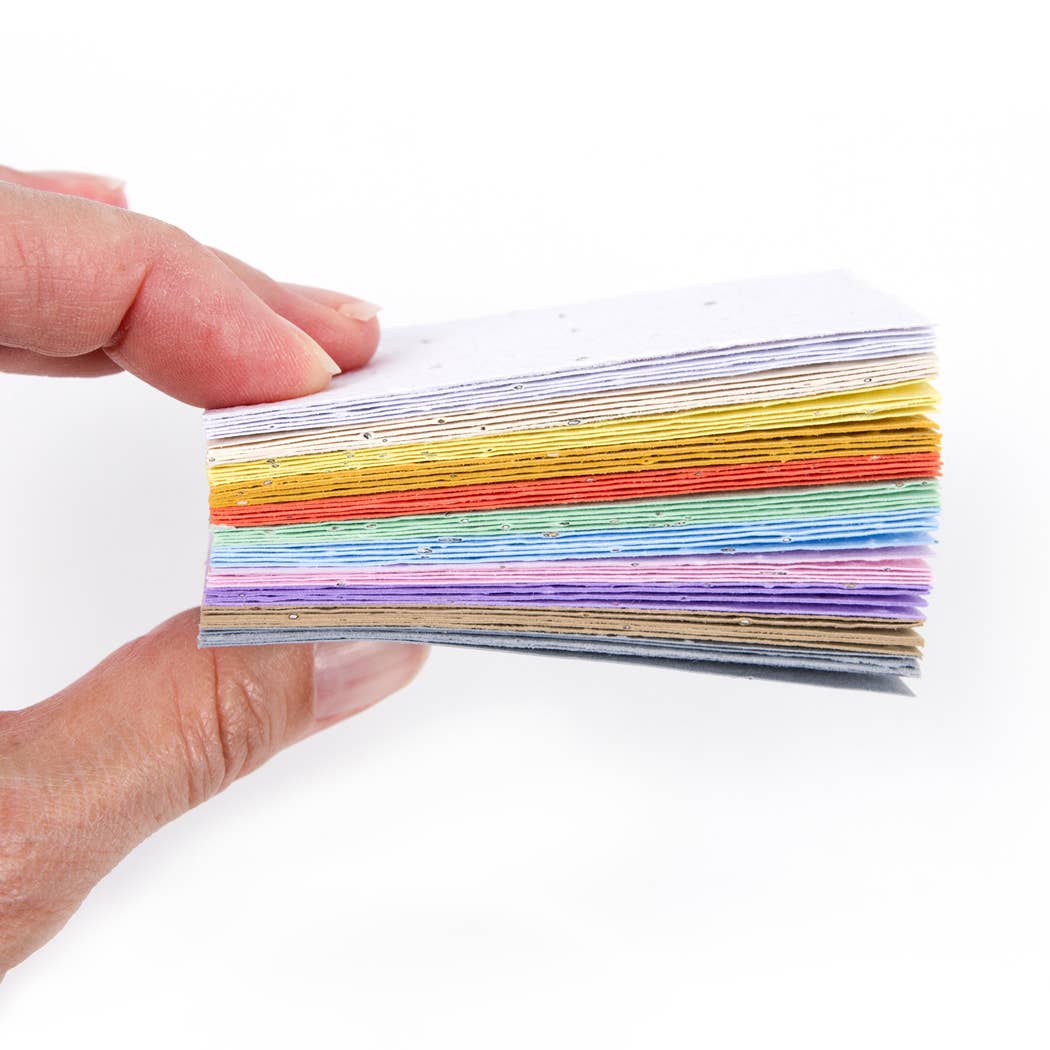 Studio 82° - Wholesale Place Card / Place Holder - Wildflower Seed Card - Frost White3