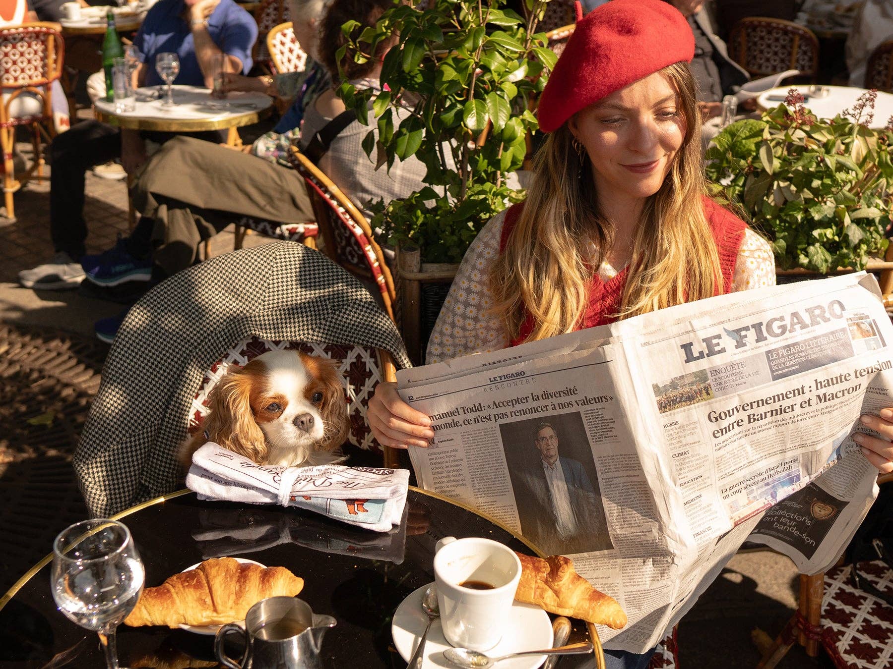 French Bandit – Engroshandel Tøjdyr - Hund – Hundelegetøj formet som en avis1