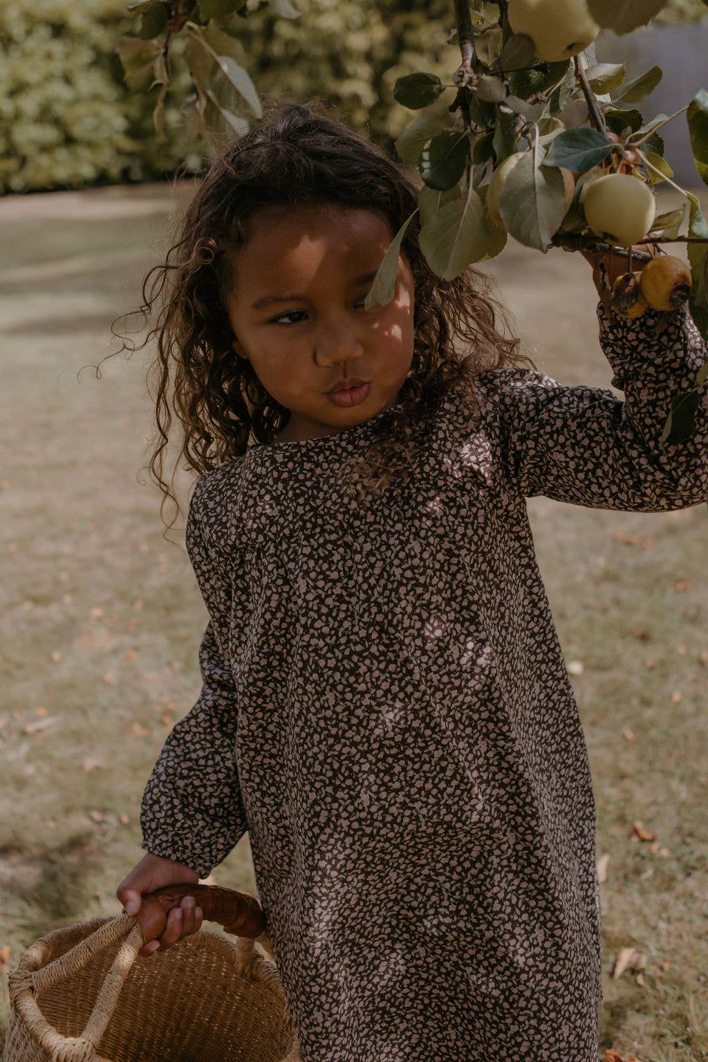 brun blomstret Mila Kjole for engroshandel på Faire2