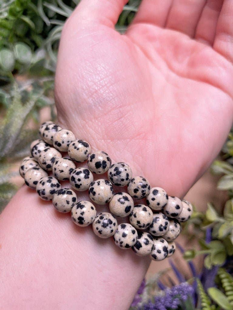 Copper Ashes - Wholesale Beaded Bracelet - 8mm Beaded Dalmatian Jasper Bracelet3