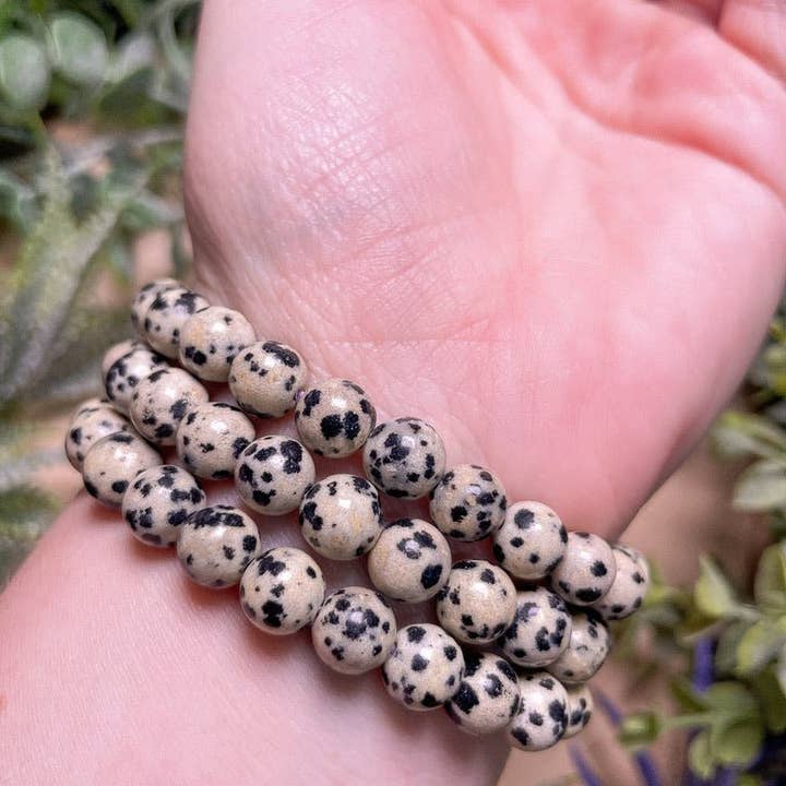 Copper Ashes - Wholesale Beaded Bracelet - 8mm Beaded Dalmatian Jasper Bracelet3