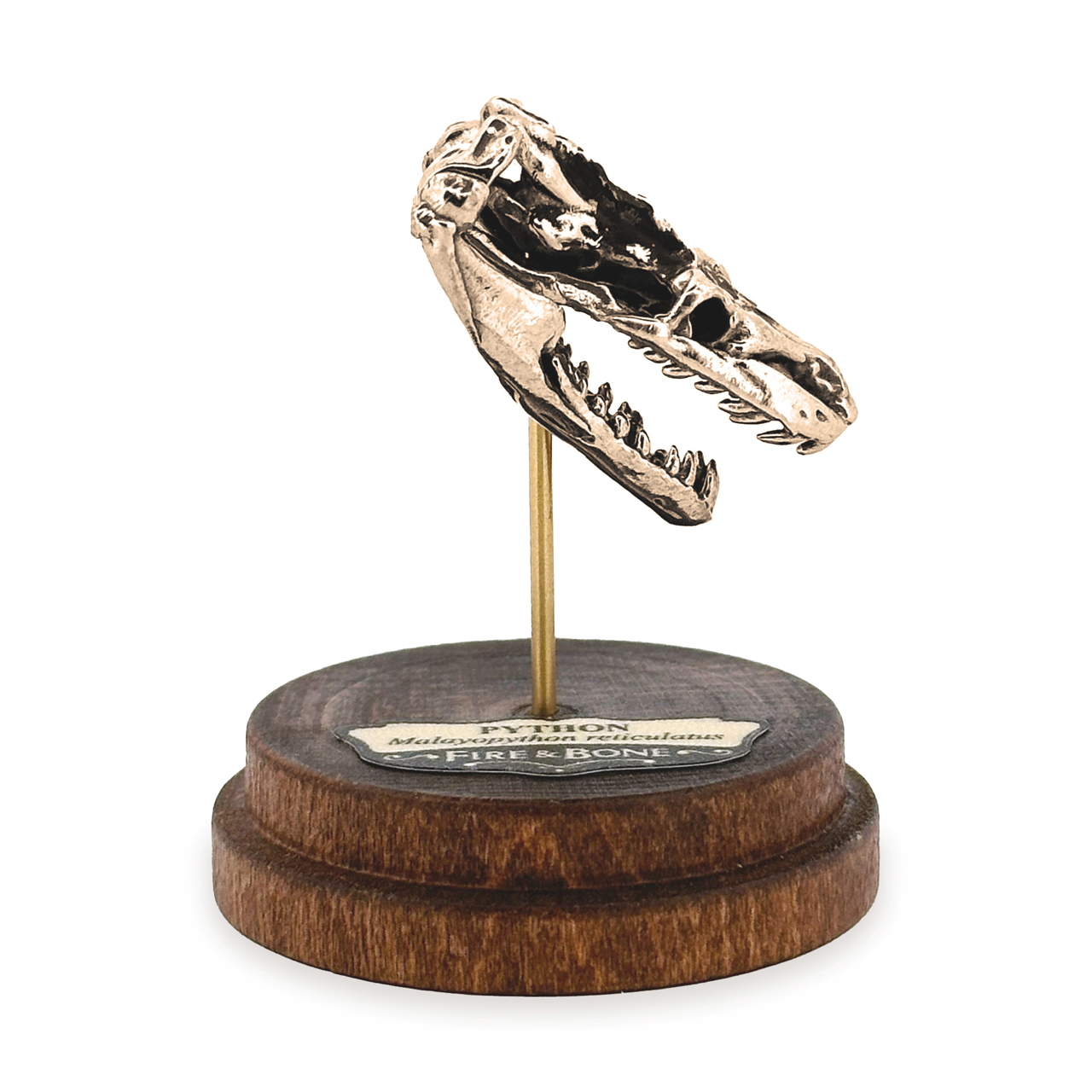 Fire & Bone – Großhandel Kette mit Anhänger/Charm – Python5