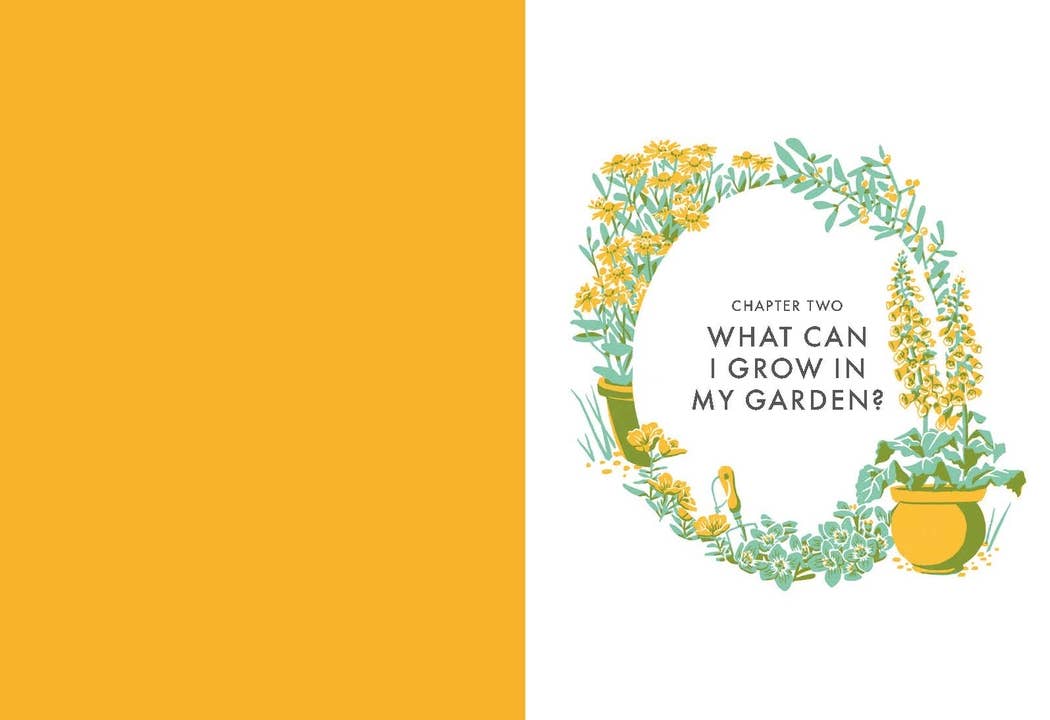 Chronicle Books - Wholesale Nature & Outdoors Book - Planting Wildflowers2